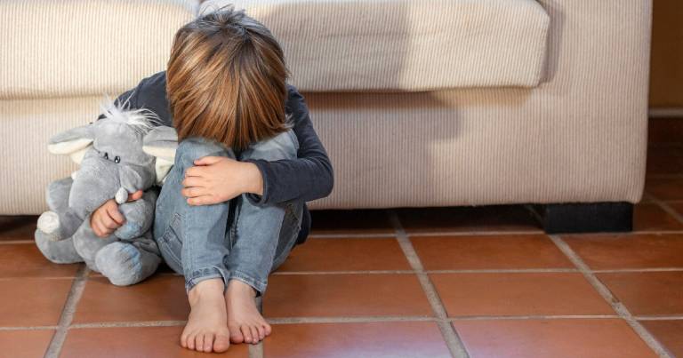 abuso-sexual-en-la-temprana-infancia-sus-efectos-sobre-el-apego-y-el-desarrollo-neuroafectivo